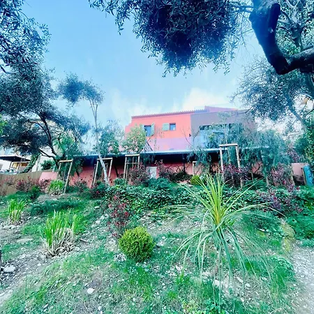 Sublime D'architecte, Piscine Et Parking Nice