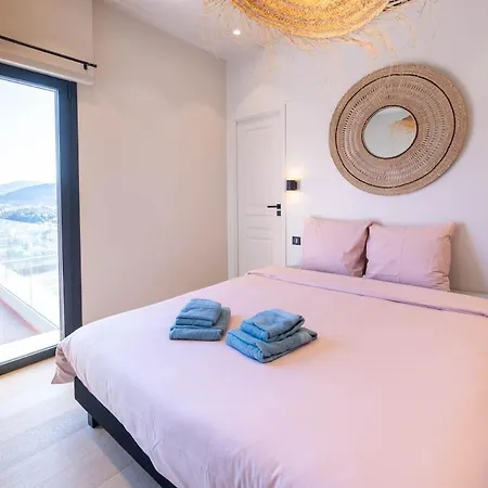 Villa Sublime D'architecte, Piscine Et Parking Nice